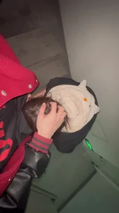 楼梯间深喉口爆07年母狗（0434地区交流交换）