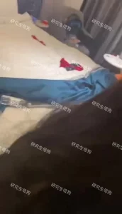 戴着狗链的母狗苗苗