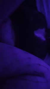 艹大母猪0317