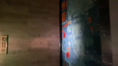 西安029小母狗